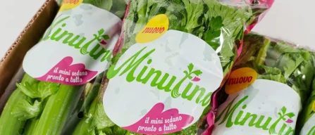 Il Minutino, un sedano più pratico e anti spreco-image