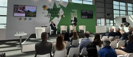 Mango e avocado, il sud Italia gioca la partita tropicale-image