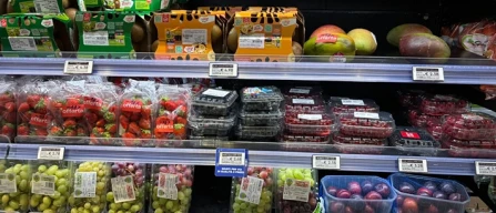 Piccoli frutti, a Firenze prezzo mirtilli sempre più su-image