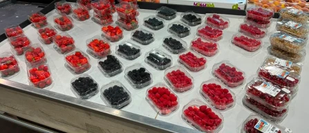 Berries Gdo Torino: prezzi in aumento e scaffale frammentato-image
