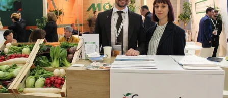 Dai mercati: le angurie crollano a 30 cent-image