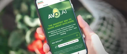 L’avocado passa dall’Intelligenza artificiale: ecco AVO.AI-image