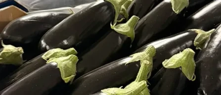 Dai mercati: ok clementine estere, su insalate e cavoli-image