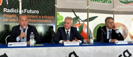 Cooperazione e filiere: le radici Agrintesa in Calabria-image