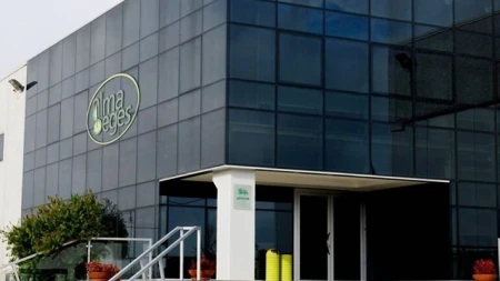 Alma Seges: Riesame annulla sequestro, liberati 9,6 milioni