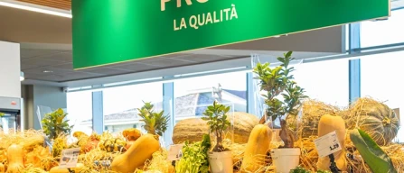 Pro7 Supermercati: 33% in meno di rotture di stock con l'IA-image