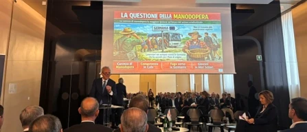 Ortofrutta: record export, ma senza braccia si ferma tutto-image