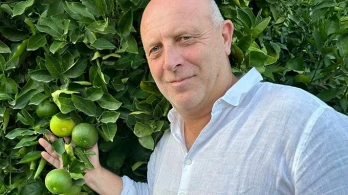 Cedigros, Maestri del Fresco e della comunicazione