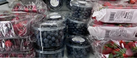 Gdo Genova: ribes costoso, more stabili-image