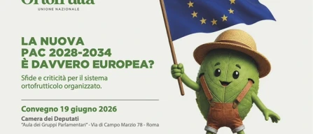 Pac 2028-2034, il 19 giugno il punto a Roma-image