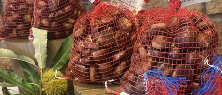 Dop e Igp, l'ortofrutta che spinge il turismo-image