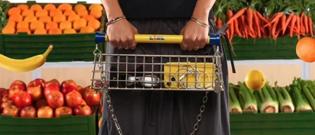 Ecco la trolley bag di Lidl a forma di mini carrello-image