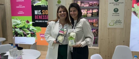 L'Insalata dell'Orto porta Dolce Lucano in IV gamma-image