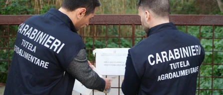 Contributi agricoli, scoperta truffa all'Ue-image