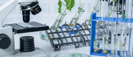 Tea, arriva l'accordo Ue-image