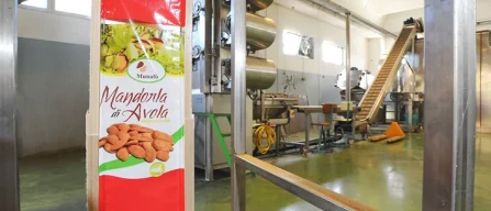 Mandorla d'Avola, nuovi prodotti per nuovi consumatori-image