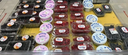 Piccoli frutti Trieste: prezzi in calo e buona qualità-image