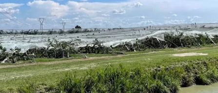 Emilia Romagna: ricognizione per danni maltempo-image