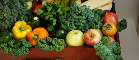 Ortofrutta, consumi domestici in recupero costante-image