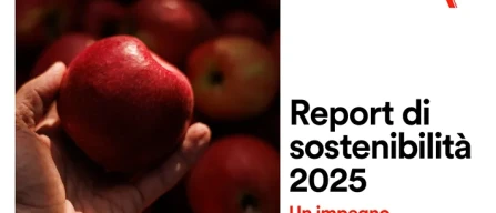 Finiper Canova pubblica il report di sostenibilità 2025-image