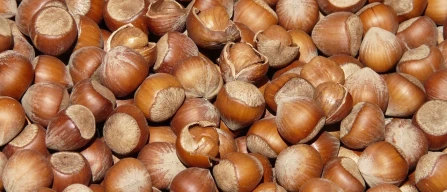 Turchia, false notizie sulla Ferrero: arriva la smentita-image