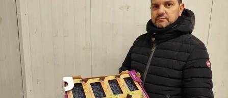 Ingrosso piccoli frutti: lamponi sopra i 30 euro-image