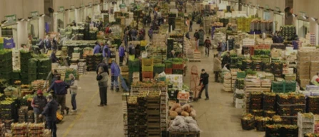 Fedagro a Macfrut con eventi e convegni-image