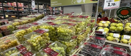 Uva online: bianca con semi a +17,2%, sale anche la rossa-image