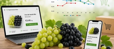 Planner Uva 2026: frenano i prezzi dei segmenti con semi-image