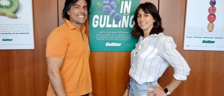Mirtilli, Carola Gullino: "Qualità, dal Monviso al reparto"-image