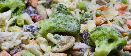 Genova, ortofrutta ferma in porto per balzello burocratico-image