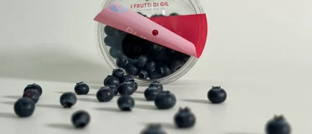 I Frutti di Gil: "apri-chiudi" per i mirtilli-image