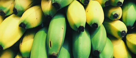 Banane, ETI mette sotto esame il prezzo della Gdo-image