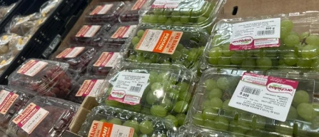 Uva e-commerce Italia: crollo uva bianca con semi (-23,7%)-image