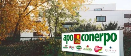 Ortofrutta: un'estate troppo calda-image