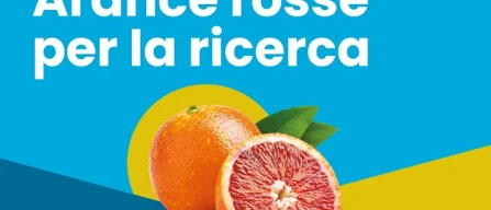 Despar con Arance rosse per la Ricerca di Fondazione Airc-image