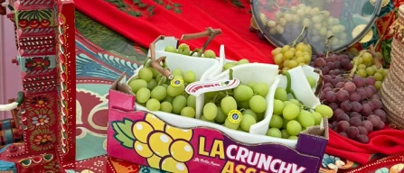 La Bella Assai al Best F&V Box con l'uva Super Crunchy-image