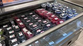 Bologna, piccoli frutti: qualità e prezzo guidano il mercato