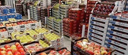 Caab Bologna: via al bando per la digitalizzazione-image