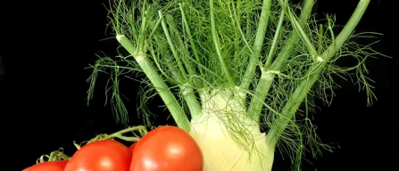 Guerra, rincari per pomodori (+28,5%) e finocchi (+23,5%)-image