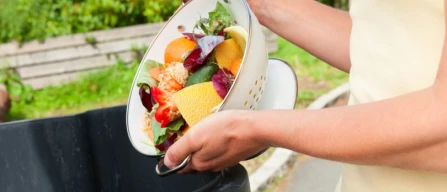 Cosa ci insegna lo spreco alimentare in Giappone-image