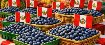 Ingrosso piccoli frutti: torna il Perù, fiaccato da El Niño-image