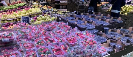 Piccoli frutti, Gdo Milano: prezzi in salita e poco prodotto-image