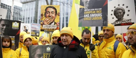 Protesta a  Bruxelles, gli agricoltori scendono in piazza-image