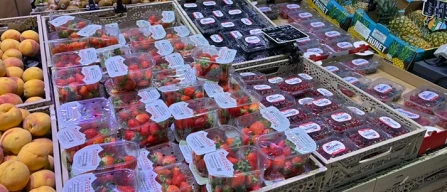 Piccoli frutti, a Milano mirtilli cari e rotazioni lente-image