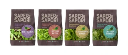 Agricola Moderna firma le insalate in busta Saper di Sapori-image