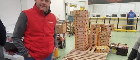 Ingrosso piccoli frutti: tanti mirtilli, quotazioni giù-image