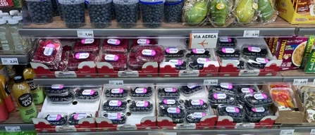 Piccoli frutti, a Bologna tante origini e prezzi elevati-image