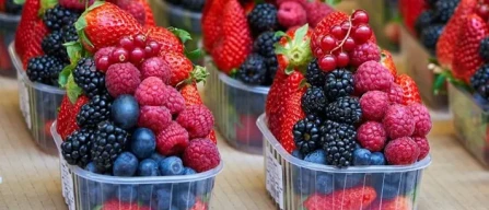 Piccoli frutti, boom globale ma "non è un gioco da ragazzi"-image