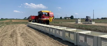 Ondate calore: meno patate ma per Romagnoli ok prezzi-image